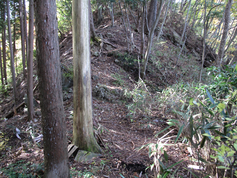 20171102hike (102)